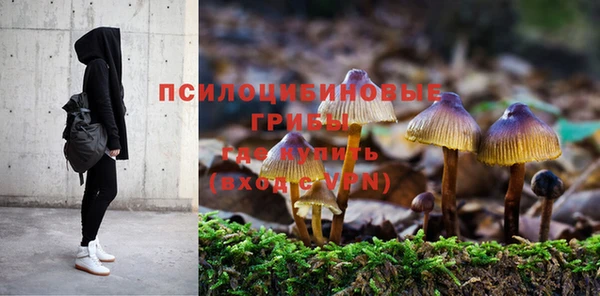дмт Магадан
