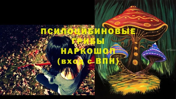 дмт Магадан