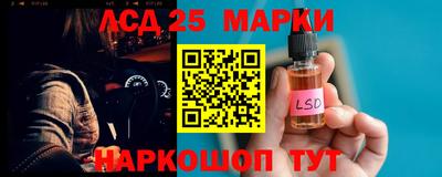 гидропоника Пушкино