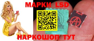 гидропоника Пушкино