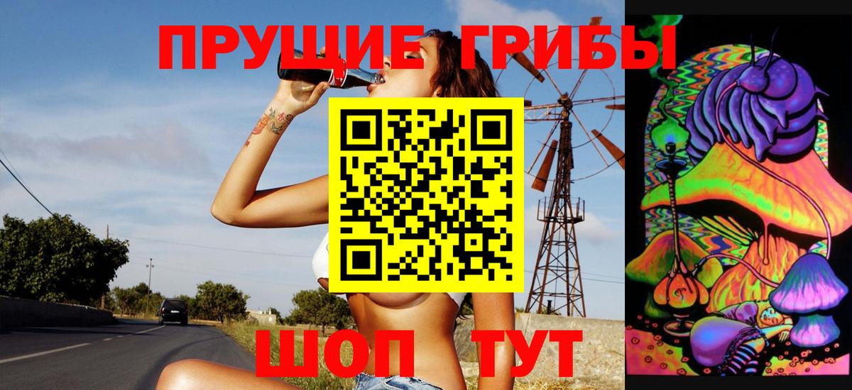 Химки  Псилоцибиновые грибы Psilocybe  Вход с VPN 